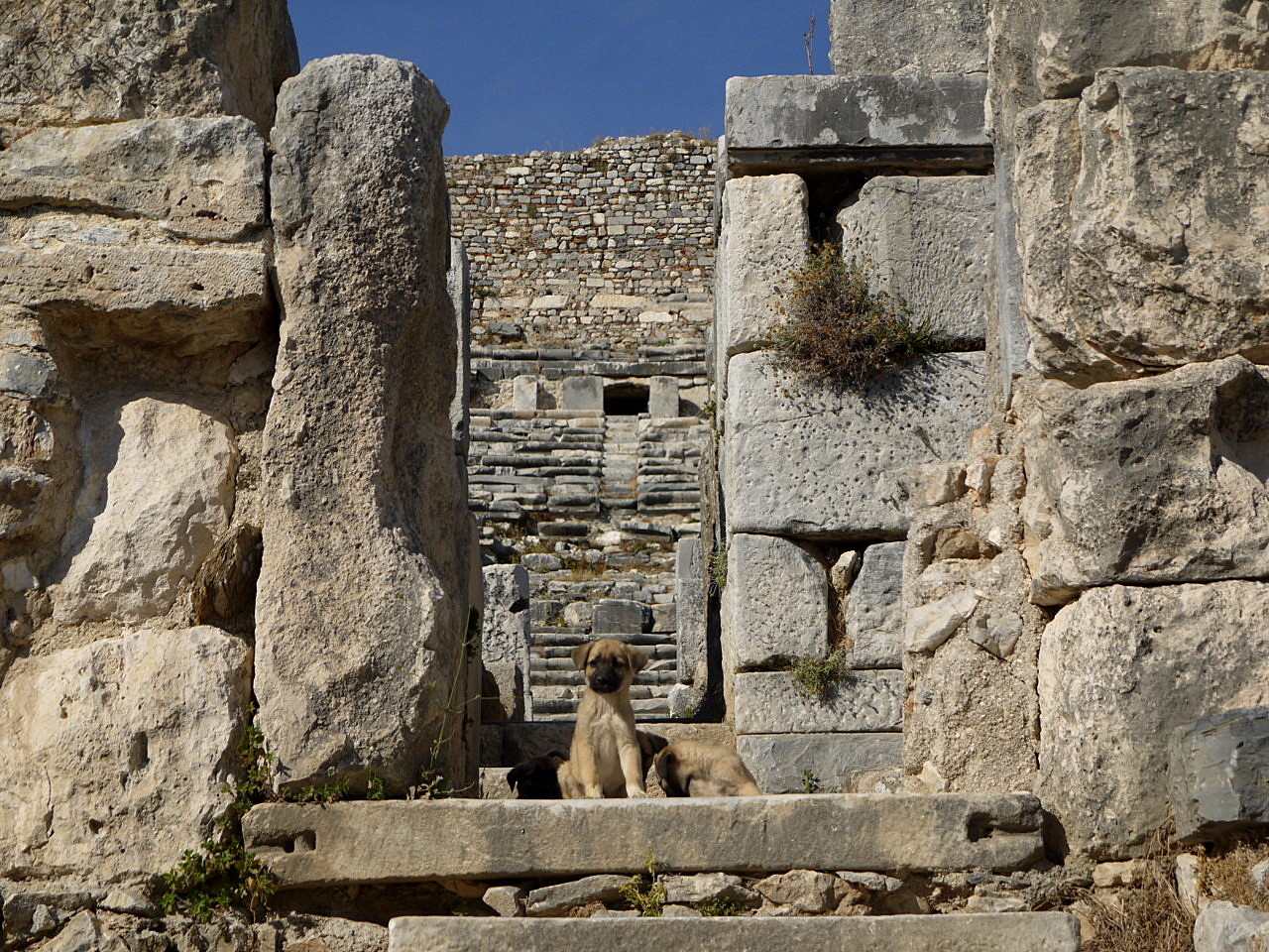 Miletus  , ancient city